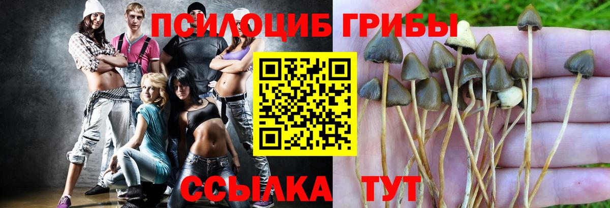 Псилоцибиновые грибы Magic Shrooms  Псилоцибиновые грибы ЛСД  Азов  Вход с VPN 